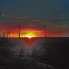 Windmühlen Sunset