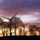 Windmühlen und Bäume unter purpurnem Himmel