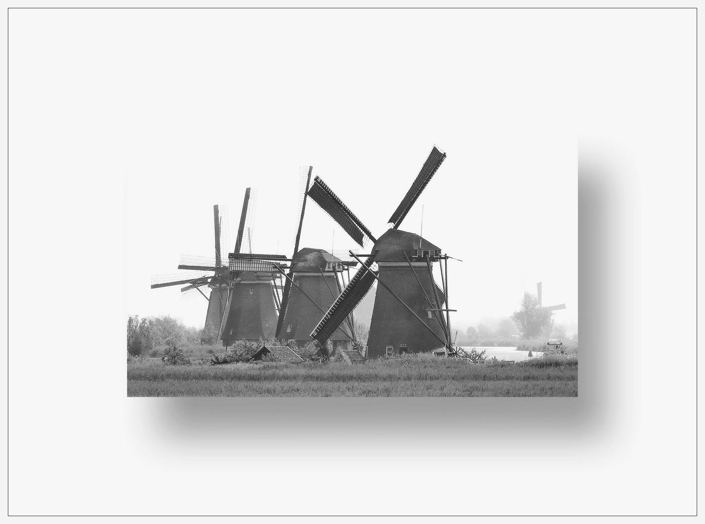 Windmühlen von Kinderdijk ©