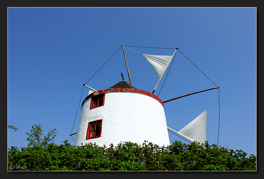 Windmühlenidylle **