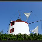 Windmühlenidylle **