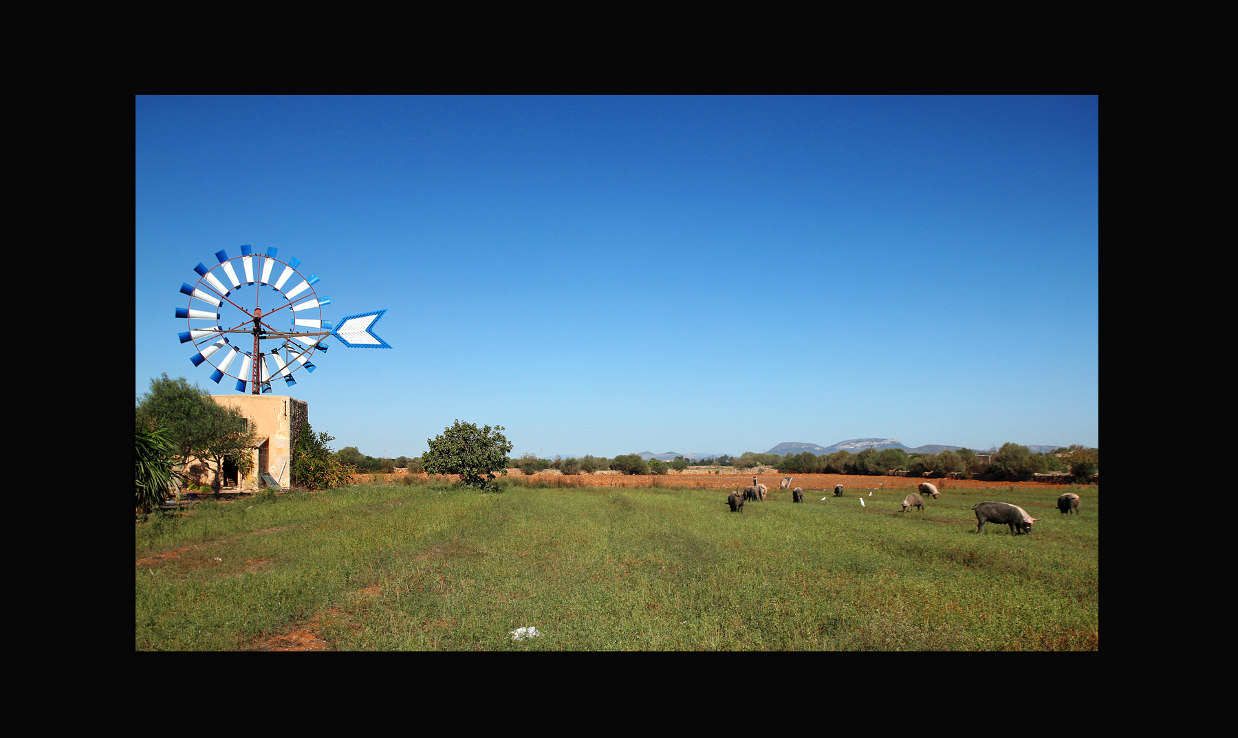 Windmühlenidylle