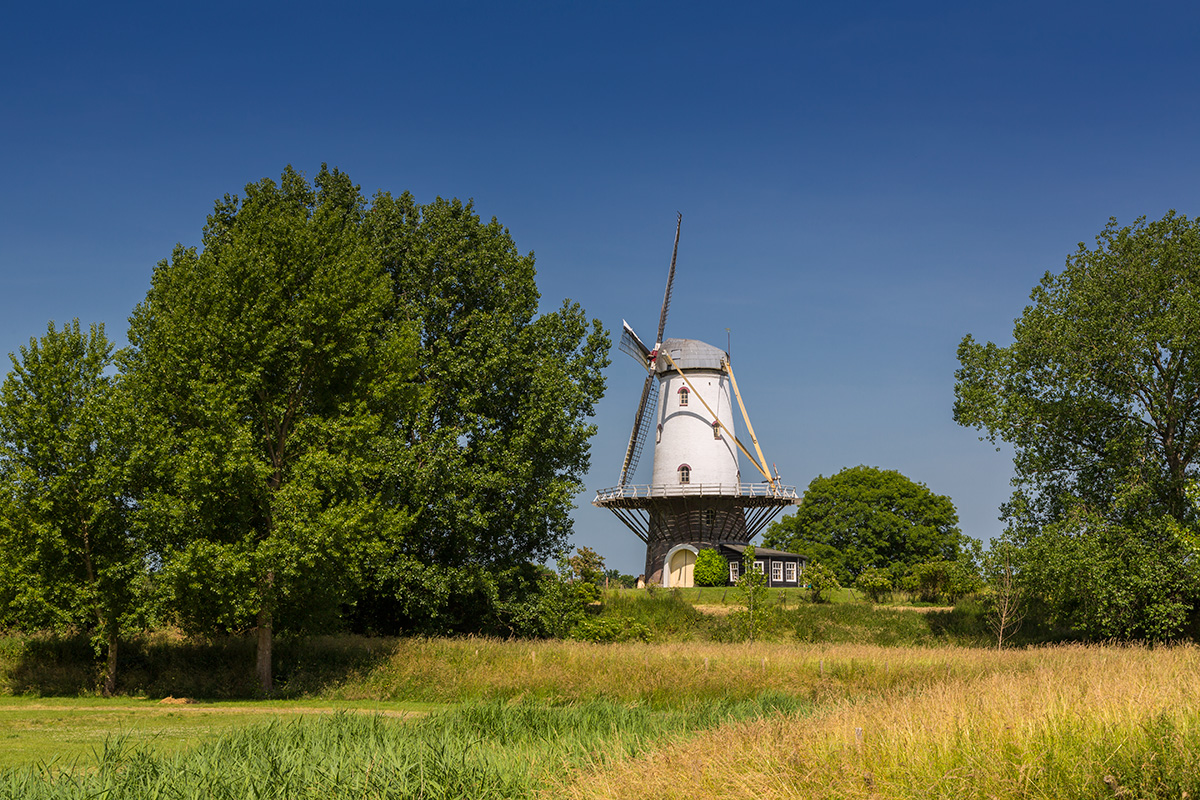 ... Windmühlenidylle ...