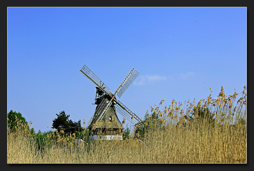 Windmühlenidylle