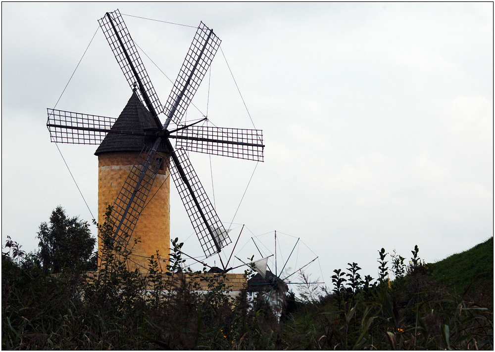 ... Windmühlenimpression ...