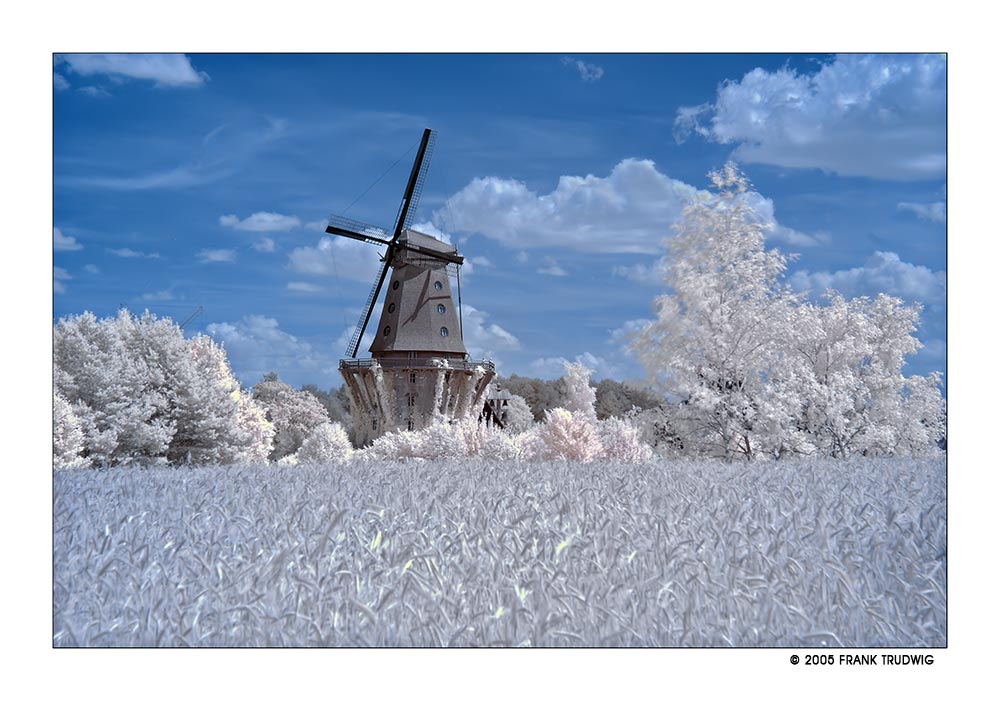 Windmühlenmuseum Gifhorn