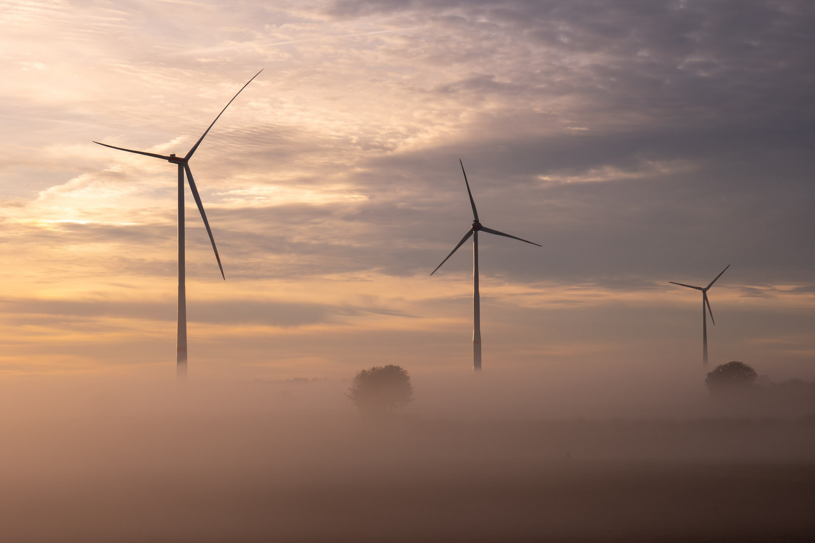 Windmühlennebel