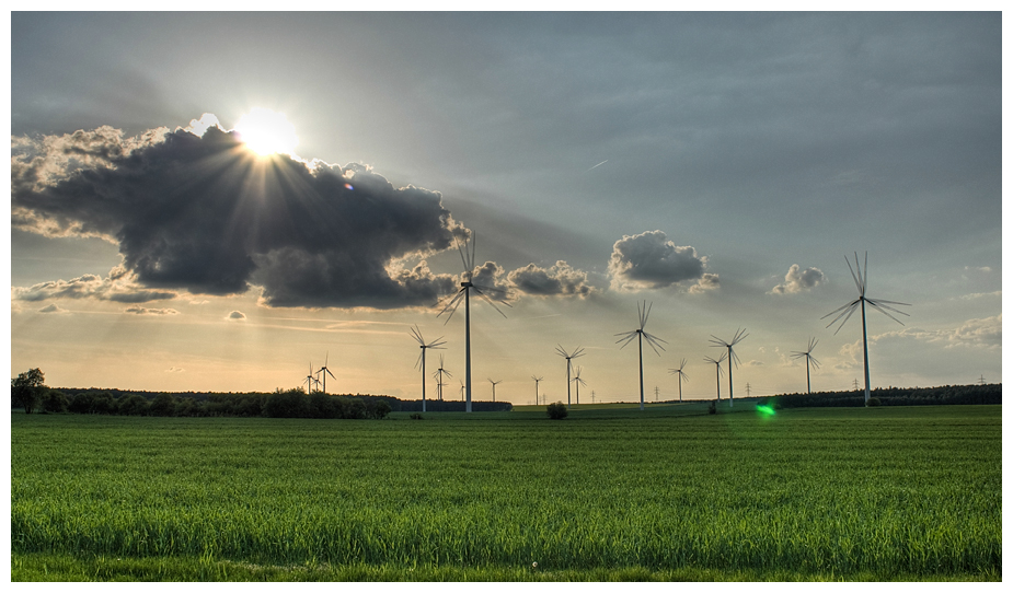 Windmühlenwald in Südbrandenburg