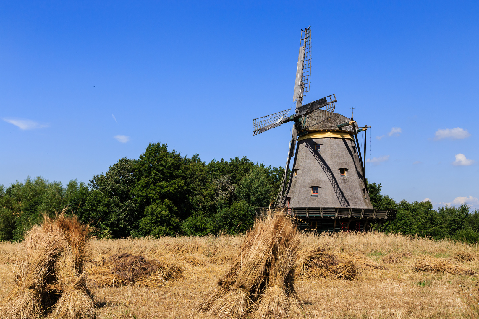 Windmüle im Hessenpark 1