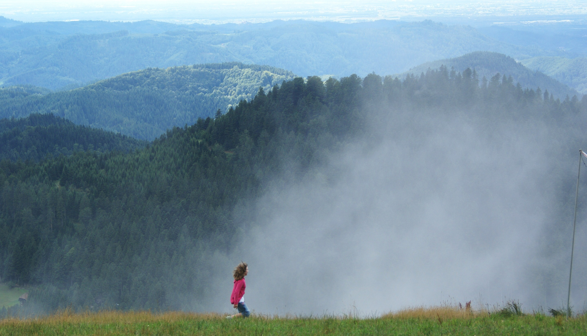 Windnebel