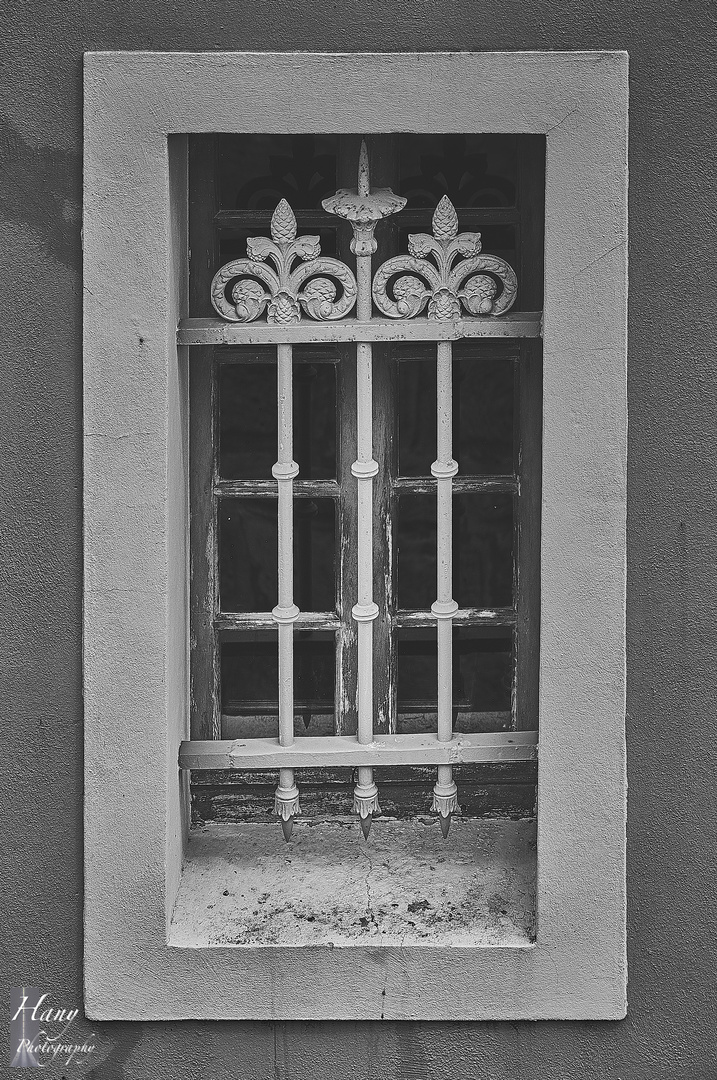 Window