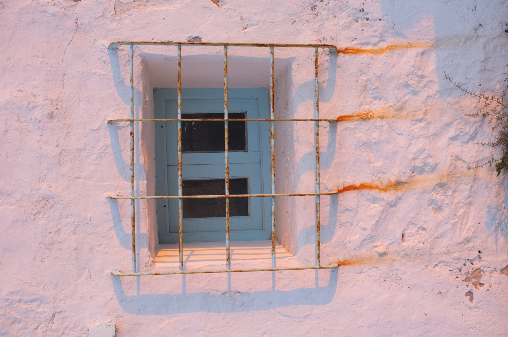 window