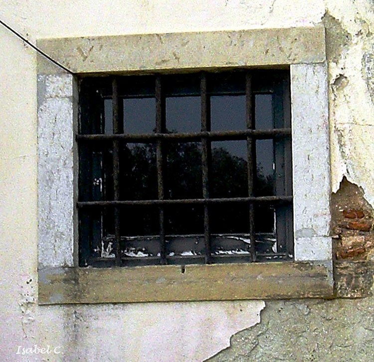 Window