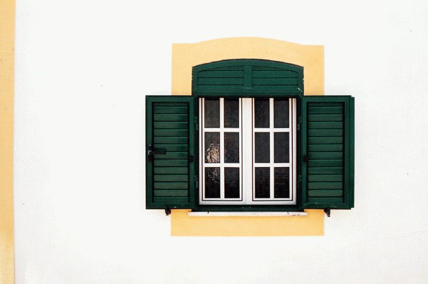 Window