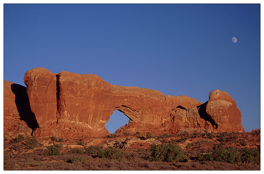 Window Arch