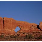 Window Arch