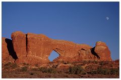 Window Arch