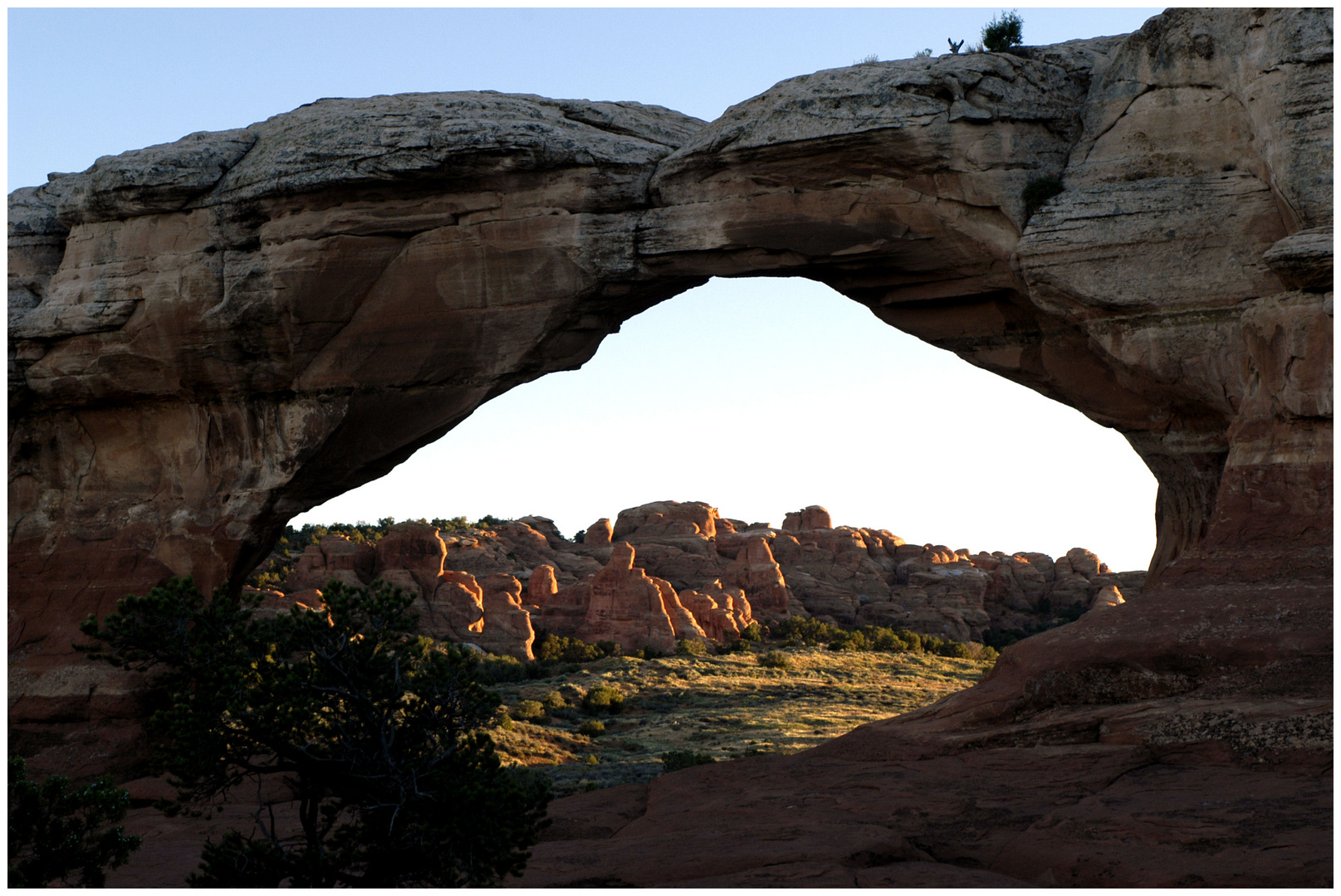 Window Arch