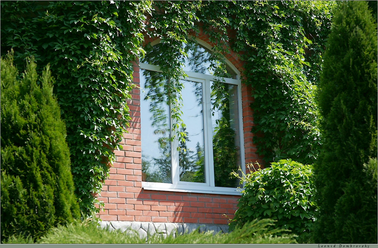 Window at the cottage