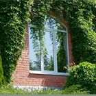 Window at the cottage