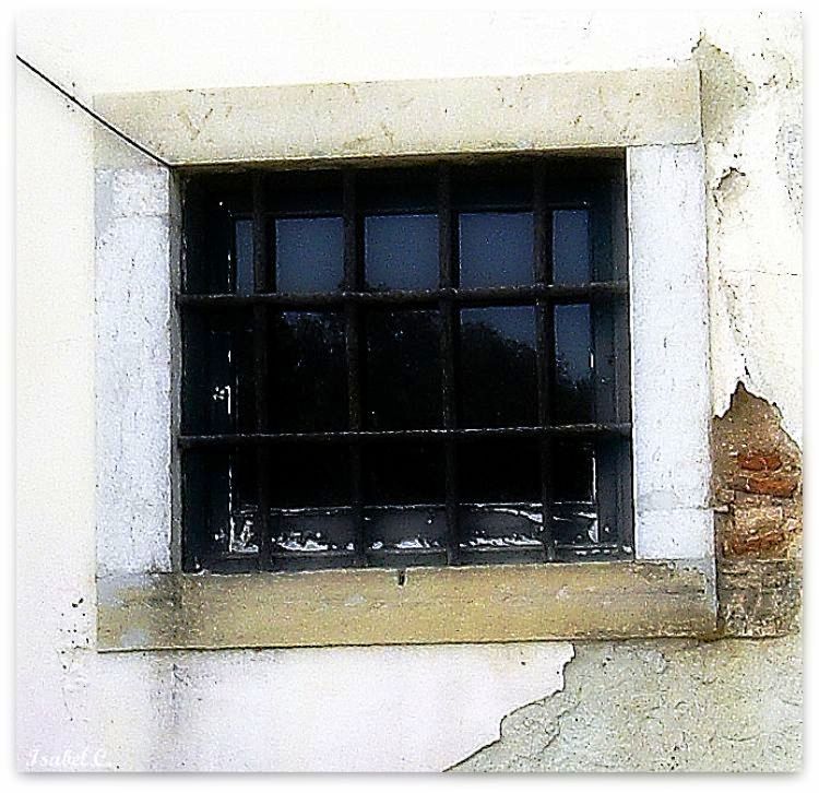 Window