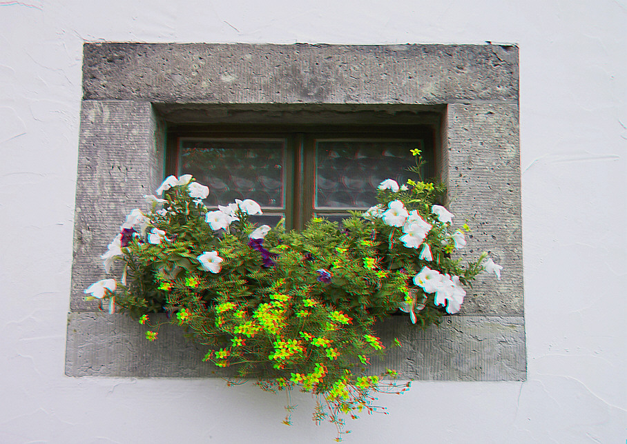 Window