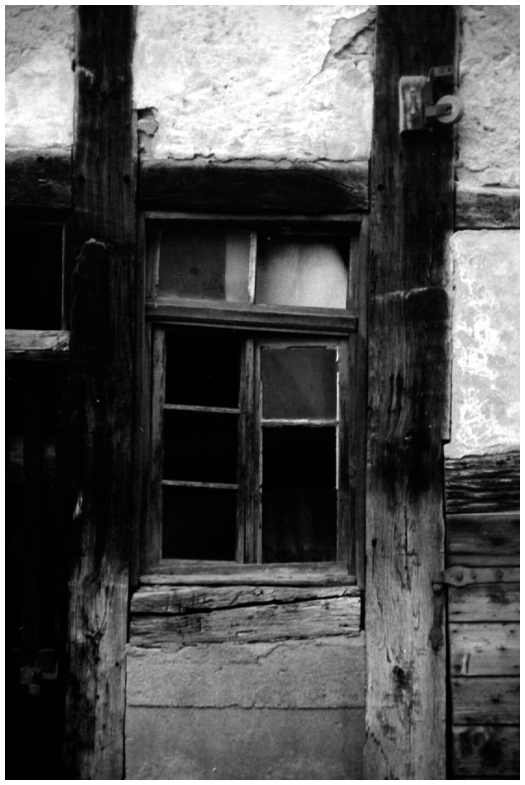 Window