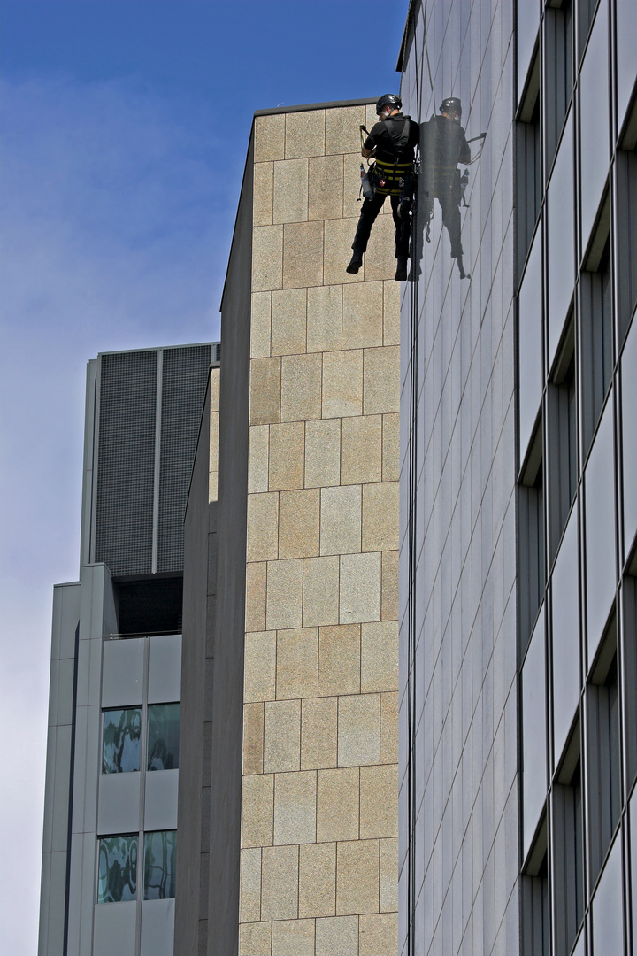 Window Cleaner