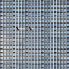 Window Cleaners in Chicago