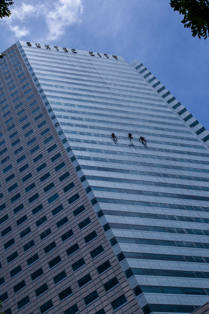 Window Cleaning