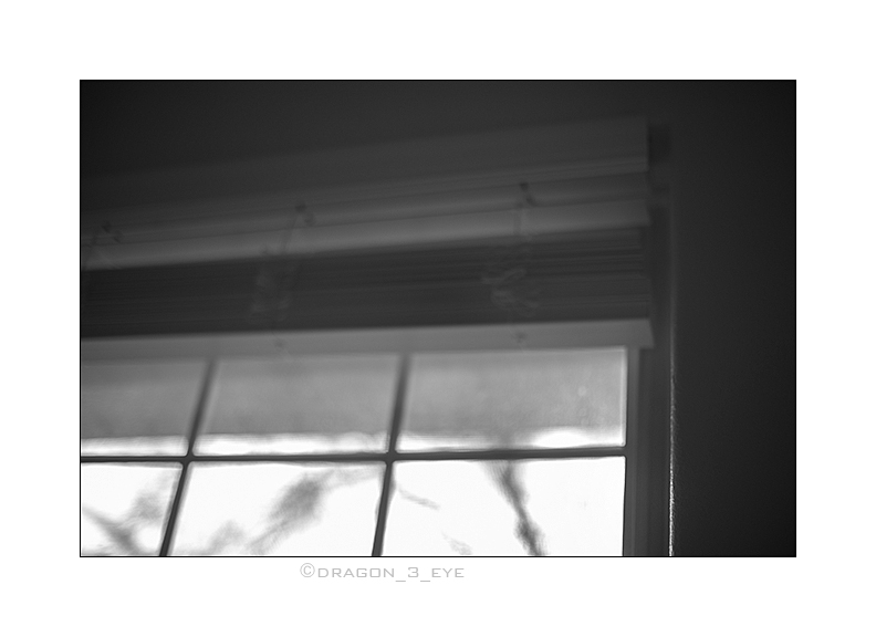 Window Edge 
