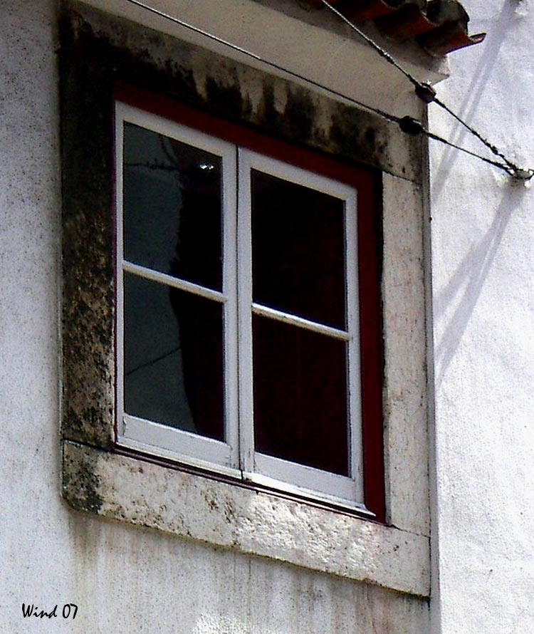 Window