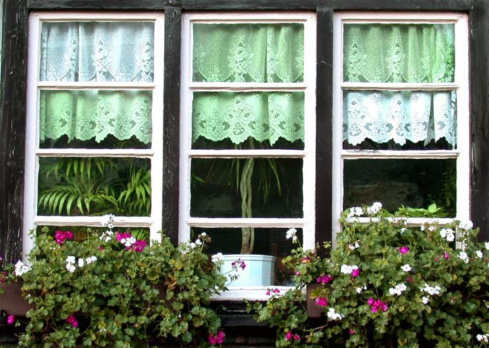 window