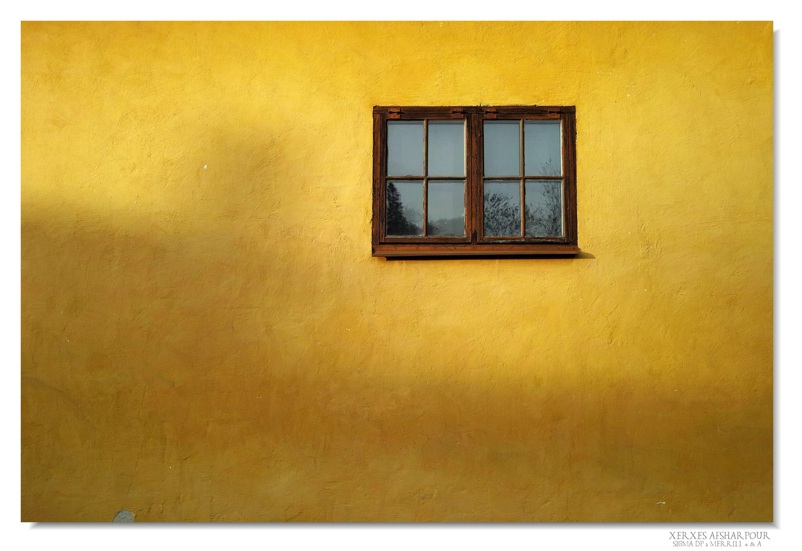 Window