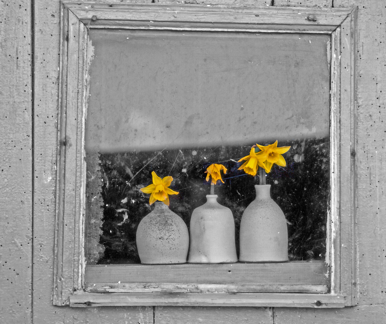 window flowers