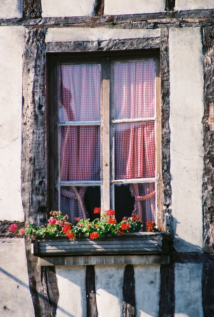 Window in Italy