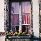 Window in Italy