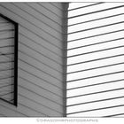 Window In Lines 