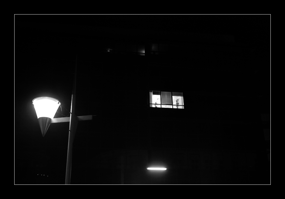 Window in the dark