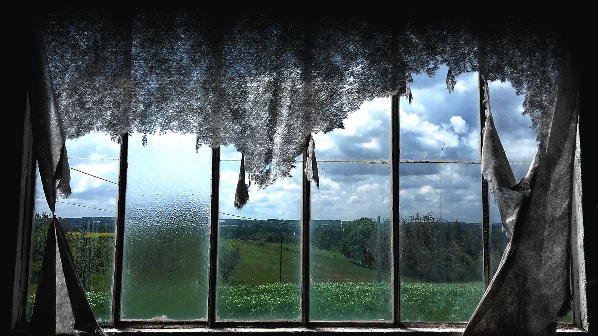 Window Landscape