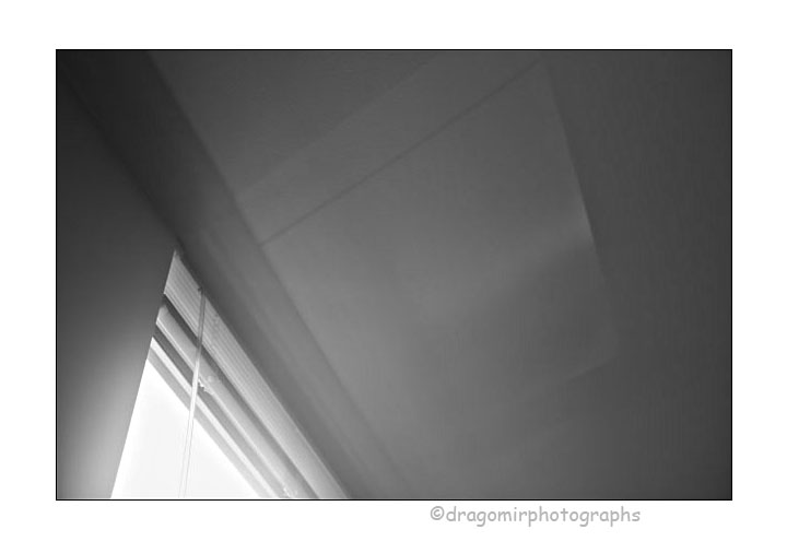 Window Light 