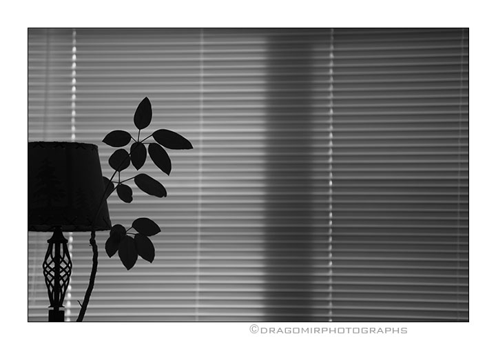 Window Lines 3