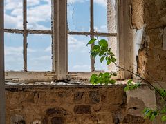 window of growth