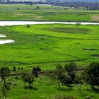 Window of the wetlands