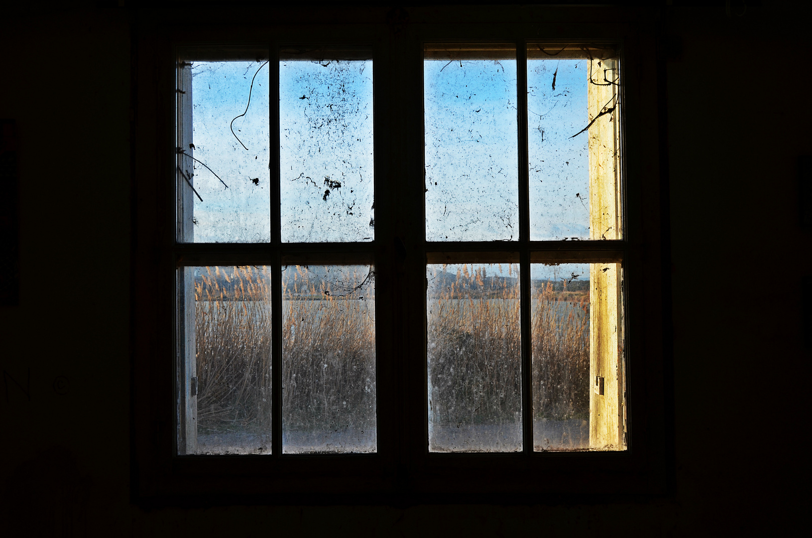 Window on the Nature