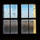 Window on the Nature