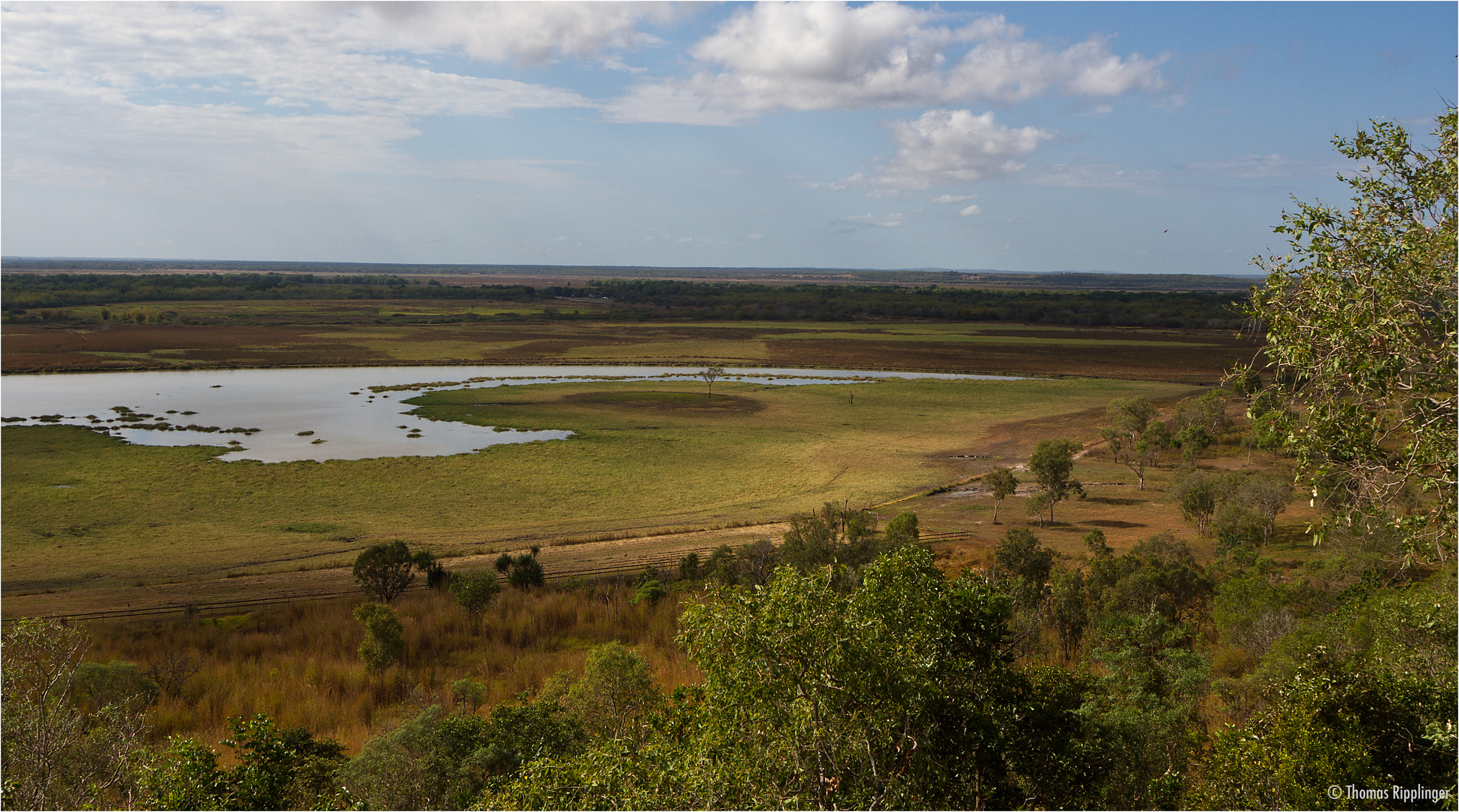 Window on the Wetlands 2