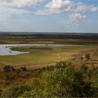 Window on the Wetlands 2