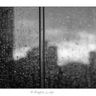 Window Rain 