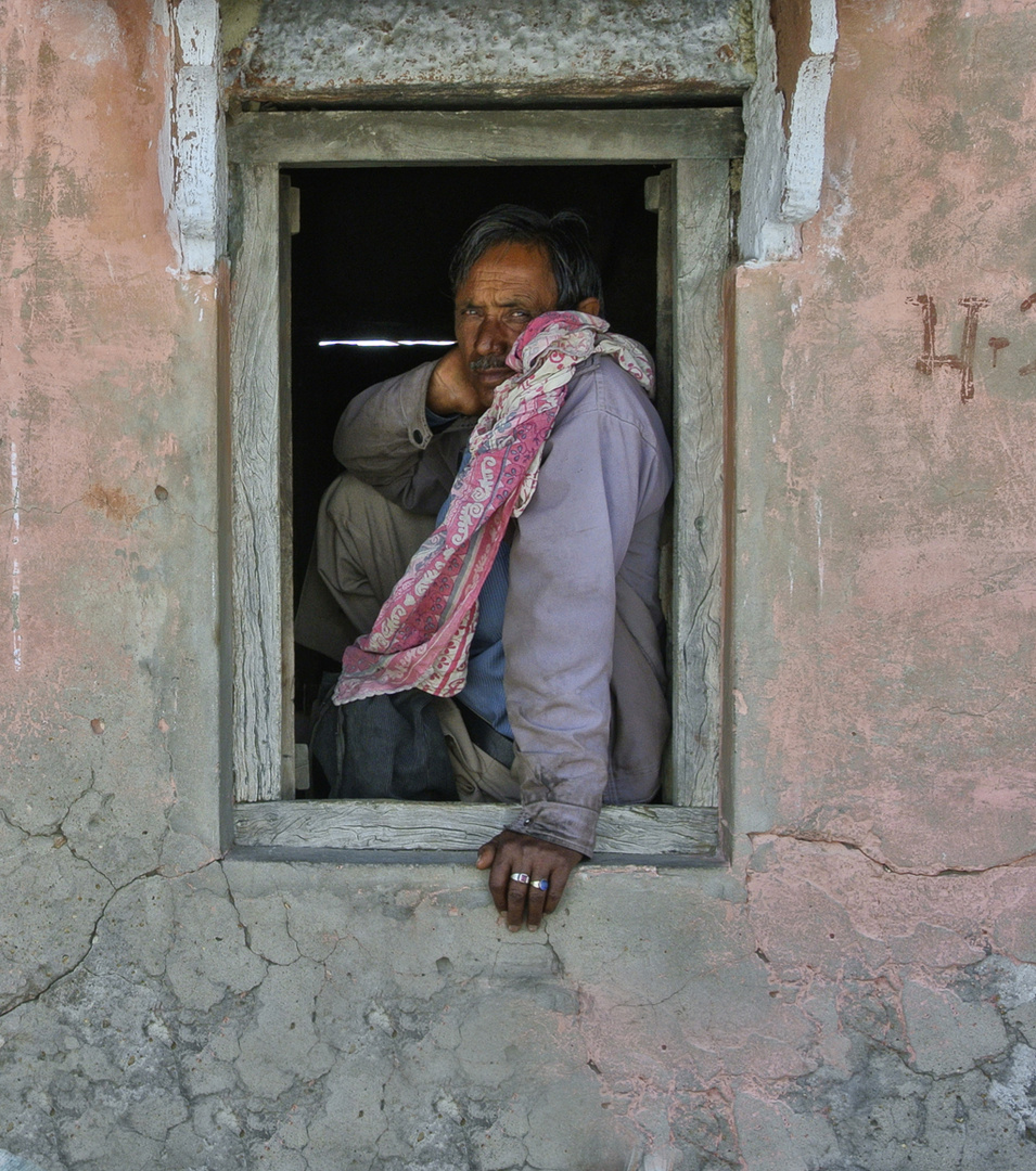 Window Sitter